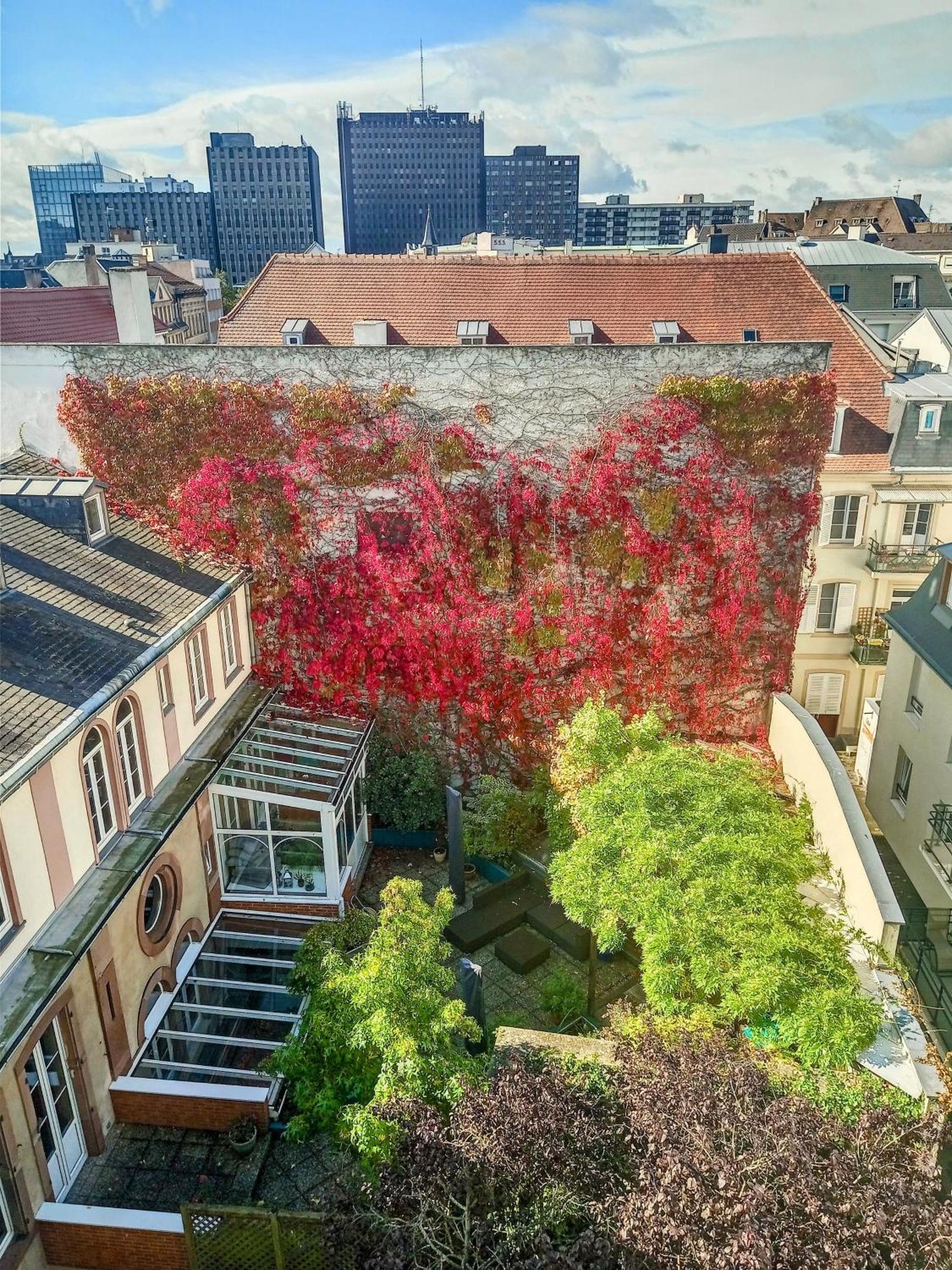 Appartement Attique Strasbourg Ngoại thất bức ảnh